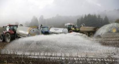 Ganaderos gallegos tiran la leche por el campo para protestar por los bajos precios los que la venden a la industria y por del aumento de los costes de producción, esta mañana en la localidad coruñesa de Arzúa.