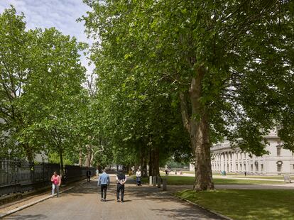Avenida Old Royal Naval College, en Londres (Reino Unido).