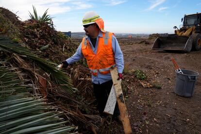 Republic Services operator George Maya removes painted woods from a mountain of yard, garden and landscape waste at the Otay Landfill in Chula Vista, Calif., on Friday, Jan. 26, 2024.