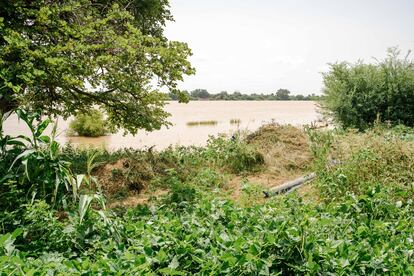 Vista del huerto comunitario en el que trabajan 40 mujeres en la región de Gorgol, a orillas del río Senegal. Las inundaciones dañaron parte de la cosecha de este año, pero se está replantando en las zonas afectadas. 