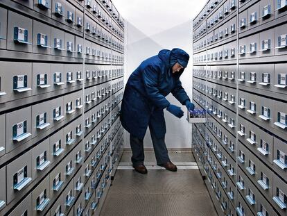 <b><i>La cámara acorazada. El doctor Probert extrae una muestra de semillas almacenadas a temperatura polar</b></i>