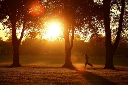 Un hombre corre entre los árboles de Victoria Park en Leicester (Reino Unido), el 14 de octubre de 2015.