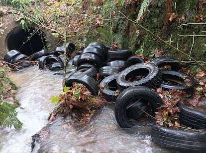 Neumticos abandonados en una zona de Alkiza, en una imagen cedida por Lurpea Garbi.