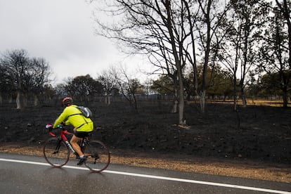 El incendio provocó el desalojo de 24 localidades del oeste de Zamora y ha dejado sin pastos a ganaderos que viven de este terreno natural. Las consecuencias de las llamas sobre esta reserva de gran valor ecológico se sienten en lo paisajístico y en lo medioambiental, con miles de árboles hechos ceniza y con muchas especies animales que han perdido sus hábitats.