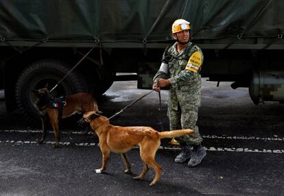 Un soldado mexicano, con dos perros adiestrados para rescate.