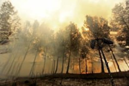 El fuego afecta una zona de pinos en la localidad de Carlet en la Comunitat Valenicana, donde los incendios forestales de Cortes de Pallás y de Andilla han arrasado miles de hectáreas pese a los trabajos por tierra y aire para frenar las llamas y han obligado a desalojar a más de un millar de personas.