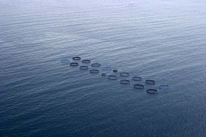 Instalaciones de acuicultura en el litoral de Villajoyosa (Alicante).