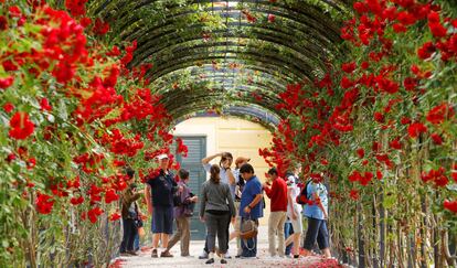 Un grupo de turistas hacen fotografías en el túnel de rosas en el parque del palacio Schoenbrun de Viena, Austria.