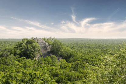 Calakmul, en el Estado mexicano de Campeche (Yucatán).