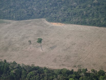 Una imagen aérea muestra un árbol solitario en una zona deforestada cerca de Porto Velho, Rondonia, en agosto del año pasado.