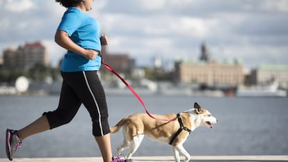 Correa para correr con Perro, Correa perro manos libres, ¿Cómo salir a correr con tu perro?, correr con perro, running con perros