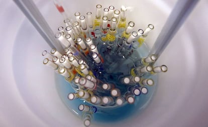Varias pipetas de laboratorio en el Instituto Max Planck de Biología de las Infecciones, en Berlín, que investiga con la técnica CRISPR.