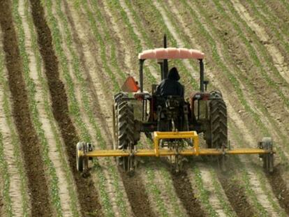 Cultivo de un campo en Salinas, California.