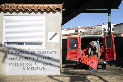 Varios trabajadores de la aceituna en la almazara de Cañamero (Cáceres).