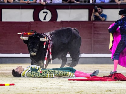 Mariscal Ruiz yace inerte en la arena tras ser volteado por el quinto novillo de la tarde.