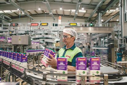 Un trabajador de una fábrica láctea de Pascual.