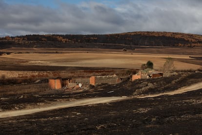 Estado del paisaje desde la carretera que lleva a Castrocalbón en León