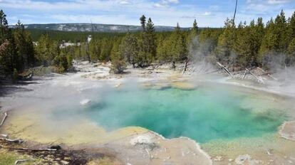 Fuente termal en el parque Yellowstone, en Esados Unidos.