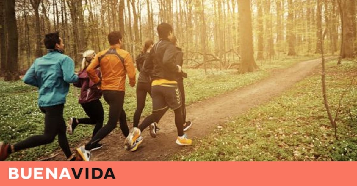 ¿Qué es mejor correr o caminar? Ejercicio Físico Buenavida EL PAÍS