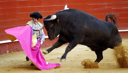 Padilla, ante uno de los toros de la corrida de ayer.