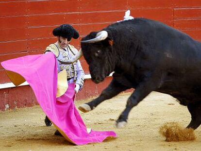 Padilla, ante uno de los toros de la corrida de ayer.