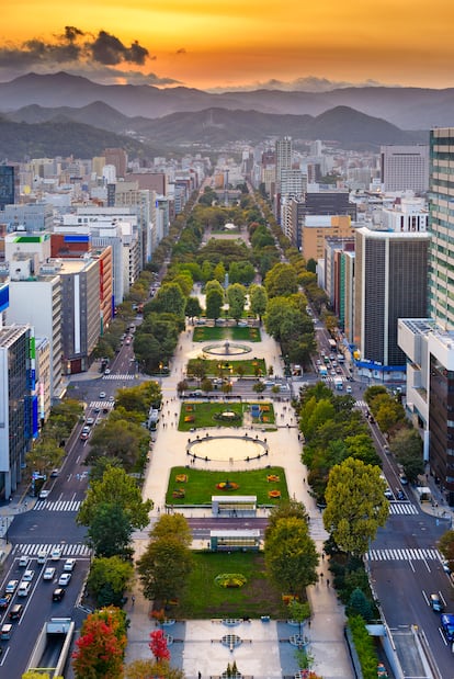 Vistas de Sapporo desde lo alto de la Torre de la Televisión.