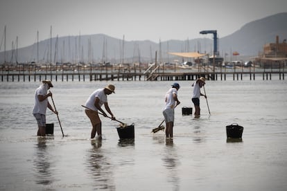 Recogida de biomasa en el Mar Menor, en la playa de Los Urrutias en Cartagena (Murcia), el 26 de julio. 