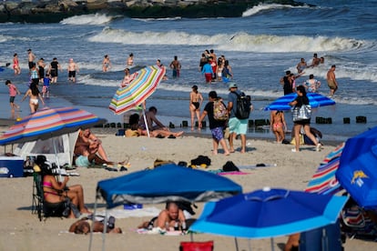 Tiburón en Rockaway Beach