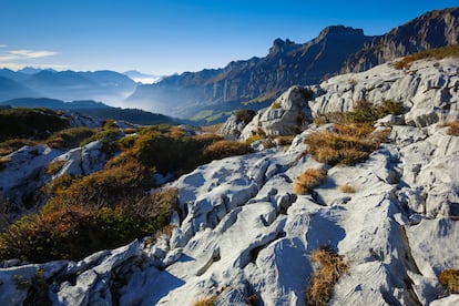 Hoelloch (Muotathal, Suiza). Con una longitud hasta ahora explorada de más de 200 kilómetros, el de Hoelloch es uno de los sistemas de cuevas más largos del mundo. Las fuerzas naturales han creado en las entrañas del monte gargantas subterráneas, extraños constructos rocosos y estalactitas de distintos tamaños y formas. A quien le guste la aventura, puede explorar estas grutas en visitas de medio día o de un día entero, o en excursiones de varios días pernoctando bajo tierra. También pueden reservarse para eventos como cumpleaños o fiestas de empresa.