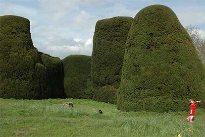 Las formas cilíndricas y cónicas de los tejos de Yew Garden, de Packwood House, requieren que los jardineros se suban a altas escaleras y empleen cuerdas.