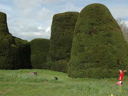 Las formas cilíndricas y cónicas de los tejos de Yew Garden, de Packwood House, requieren que los jardineros se suban a altas escaleras y empleen cuerdas.