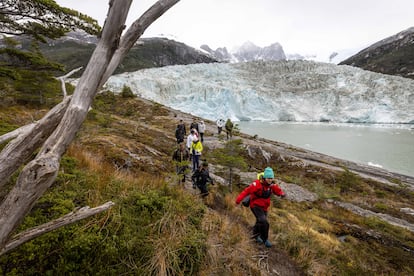 Los turistas avanzan por los densos bosques que rodean el glaciar Pía.