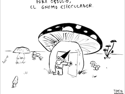 Flavita Banana: casas como setas