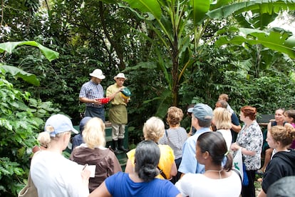 Guided tour of the Britt Plantation near San Juan, Puerto Rico.