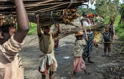 Niños desplazados en República Democrática del Congo llevan leña por la carretera entre Kitchanga y Mweso, en la provincia de Kivu del Norte. Muchos trabajan en los campos cercanos a los campamentos.