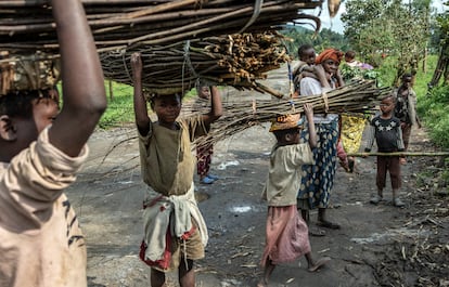 Niños desplazados en República Democrática del Congo llevan leña por la carretera entre Kitchanga y Mweso, en la provincia de Kivu del Norte. Muchos trabajan en los campos cercanos a los campamentos.