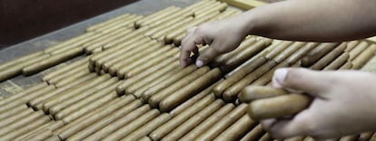 Un trabajador cubano de Partagás elabora cigarros premium.