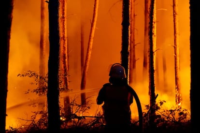 Bomberos trabajan para apagar un incendio forestal en Karlsdorf (Alemania).