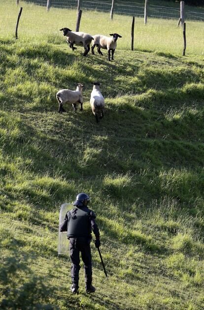 Un policía, en pleno campo de Vega del Rey.