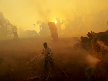 Um homem com uma mangueira tenta hidratar o campo, em uma fazenda da Califórnia (Estados Unidos).