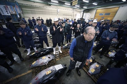 Minoristas durante la puja de atún rojo en el mercado de Tsukiji en Tokio (Japón).