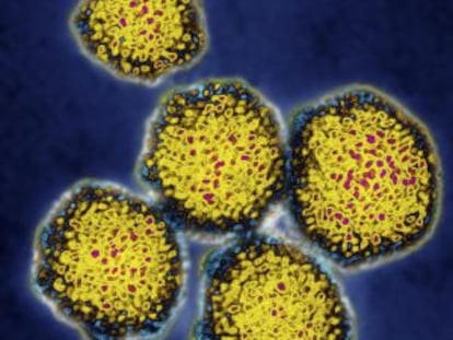 Imágenes obtenidas mediante un microscopio electrónico del virus de la hepatitis C.