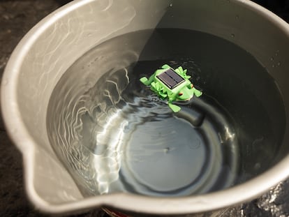 El sapito agitando agua dentro de un balde.