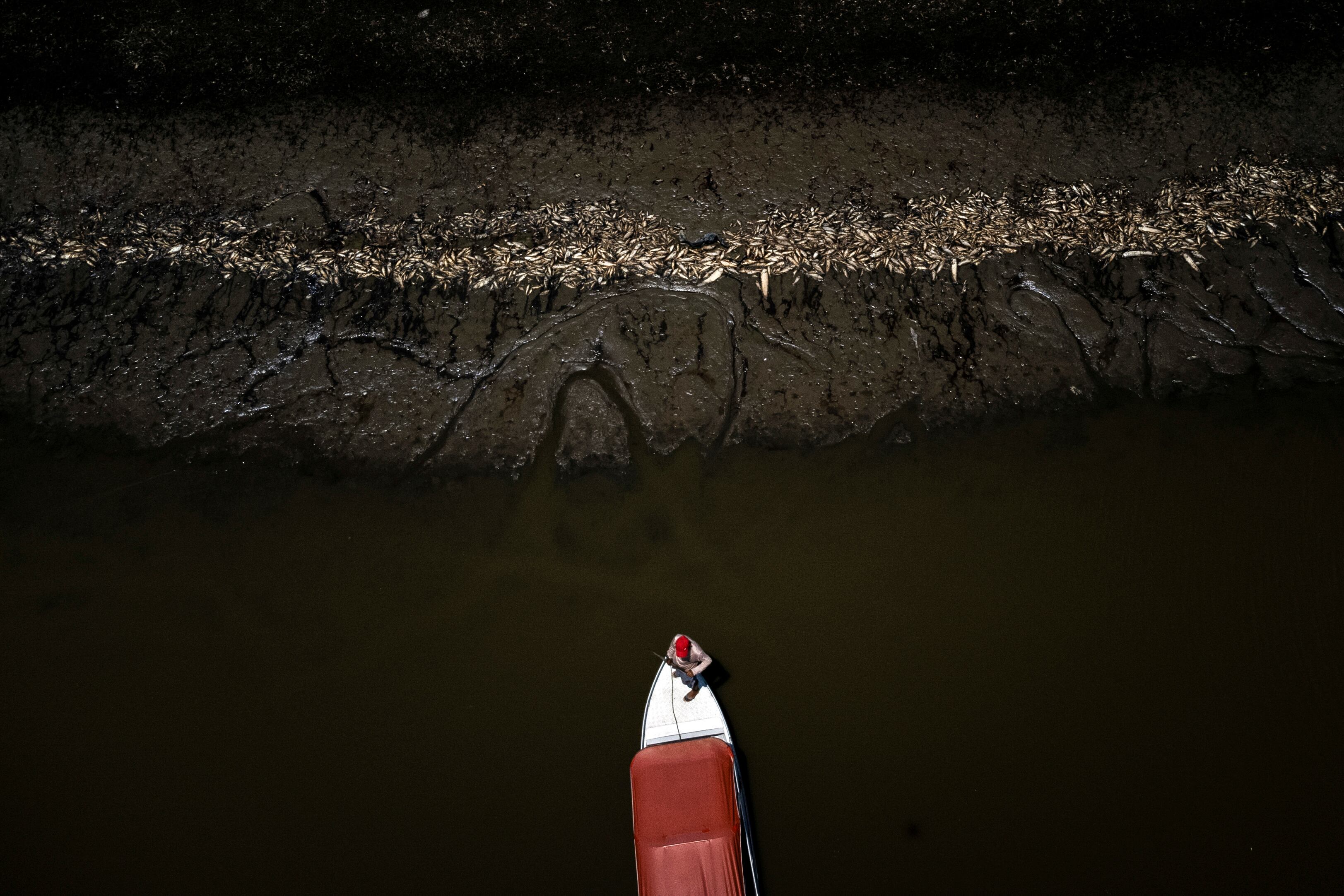 Miles de peces muertos en el lago Piranha, en Manacapuru.