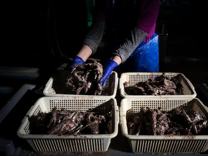 Residuos de la industria de la anchoa para hacer productos artesanales como 'garum', sal, y hasta un destilado.