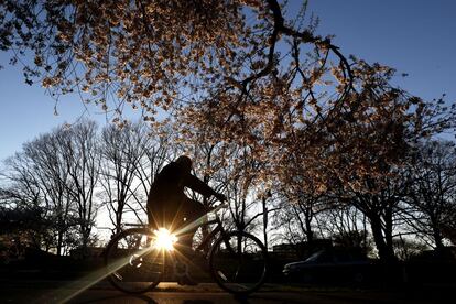 Un ciclista atraviesa un camino rodeado de cerezos en flor en el parque Branch Brook en Newark, Nueva Jersey (EE UU), 24 de abril de 2014.