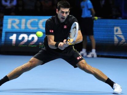 Djokovic, durante su partido contra Del Potro.