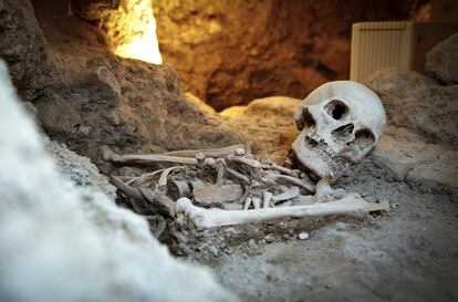 Restos de un esqueleto encontrado en las excavaciones bajo la catedral.