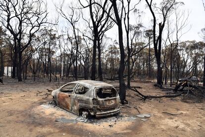 Coches calcinados este lunes por un gran incendio forestal en Balmoral, cerca de Sidney, en Australia, que sufre gran ola de calor y la sequía.