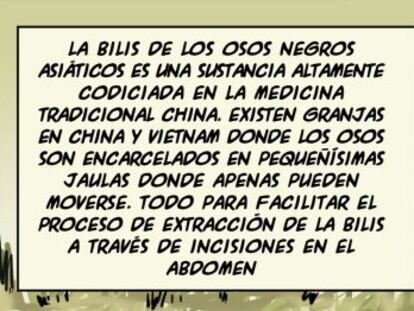 Ramón